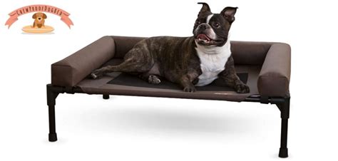 Chew Proof Pet Bed | Top 8 Indestructible Dog Beds for Chewers