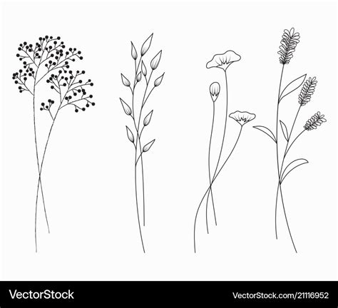 Hand Drawn Of Wildflowers Set Isolated On White Vector Image