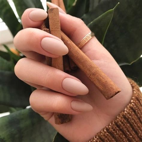 Cinnamon Sticks Held By A Hand With Sharp Oval Manicure Nude Matte Nails And A Gold Thumb Ring
