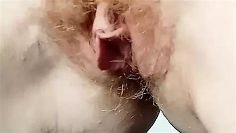 Chatte Rousse En Fleurs Free Tight Pussy Porn A XHamster