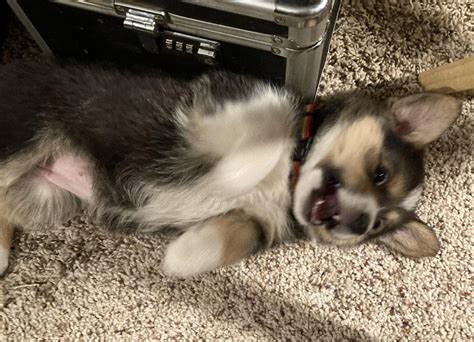 Don’t let the smile fool you | Scrolller