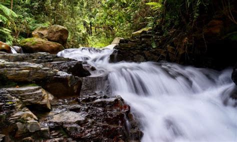 Air Terjun Curug Terindah Di Sentul Yang Paling Hits De Java