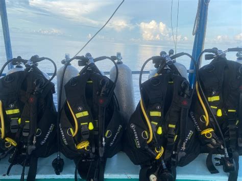 Escuela De Buceo En Koh Tao Tailandia Nitro