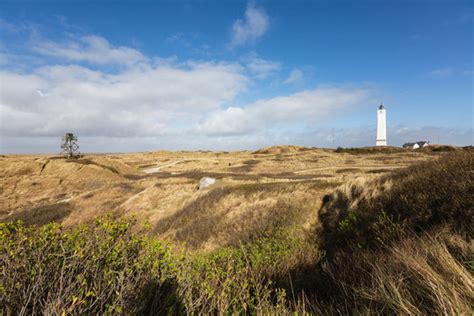 1,047 BESTE Blavand BILDER, STOCK-FOTOS & -VEKTORGRAFIKEN | Adobe Stock