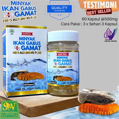 Jual Kapsul Minyak Ikan Gabus Plus Gamat Emas Neo Albumino Bpom Isi