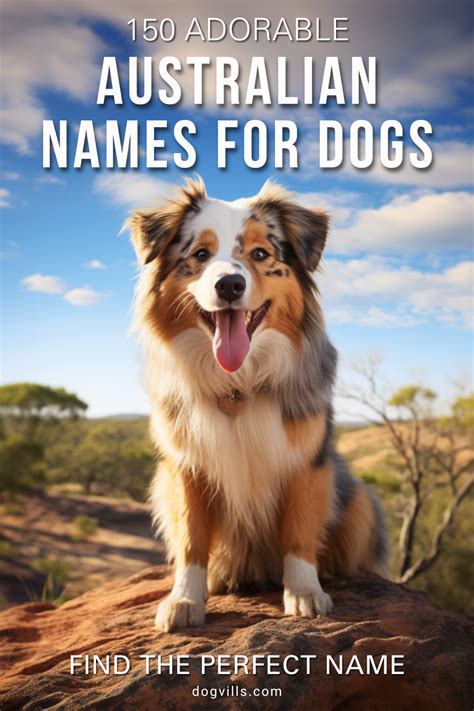 150 adorable australian dog names for your new puppy – Artofit