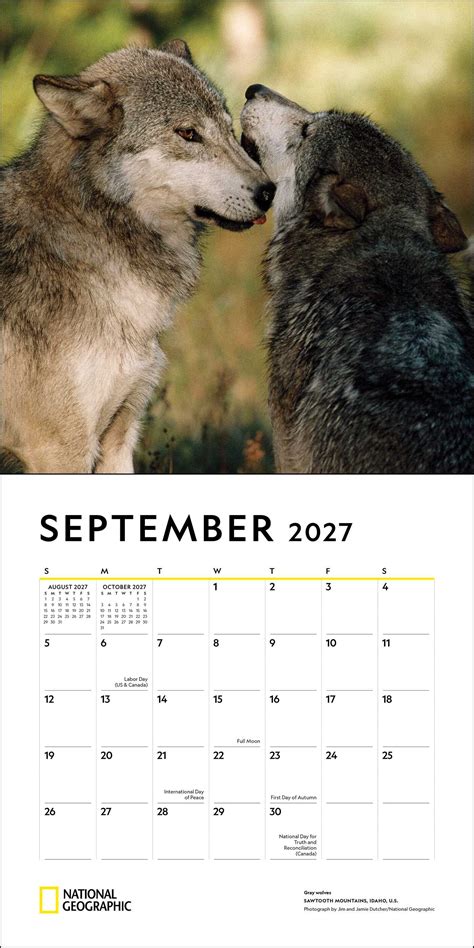 2017 Wolves Wall Calendar 2