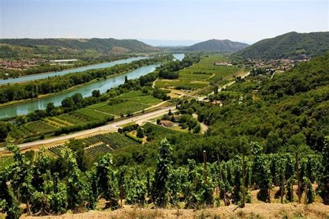 Learn All About The Rhône Valley Wine Region • Winetraveler