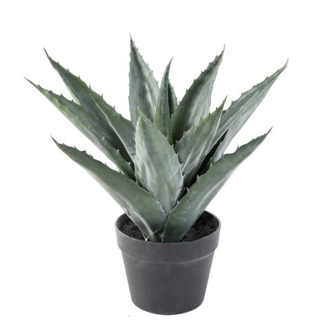 Agave Artificielle 43 Cm 74 00