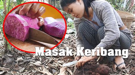 Tumis Keribang Tumis Pakis Ubi Alabio Uwi Ungu Kalimantan Fern Recipe