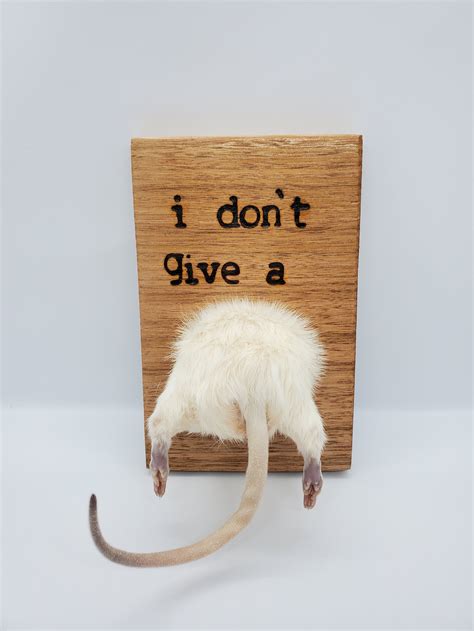 I Don T Give A Rats Ass Wall Hanging Sign Etsy