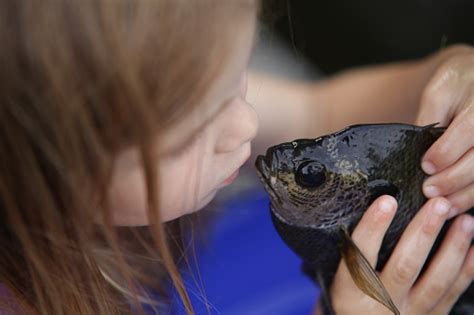 Fish Kiss Stock Photo - Download Image Now - iStock