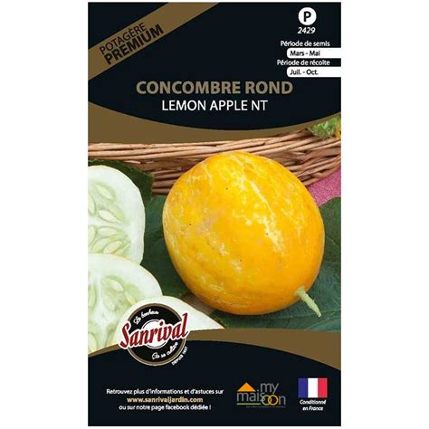 Graines Potag Res De Concombre Rond Lemon Apple Nt Mymaisoon Fr