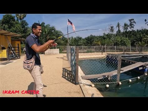 Mancing Casting Kolam Air Masin Kolam Pancing Kg Raja Kolam