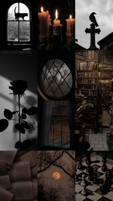 Raven, Rose, black cat, moon, chess, candles, books. Dark Academia ...