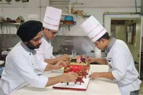 top culinary colleges  india  times  india