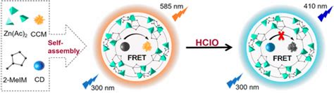 Self Assembled Fret Nanoprobe With Metalorganic Framework As A