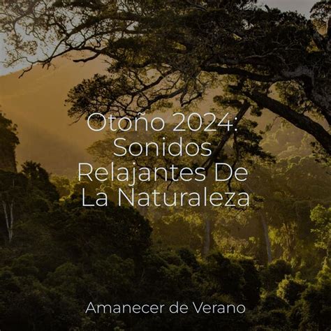 Otoño 2024 Sonidos Relajantes De La Naturaleza Meditation Qobuz