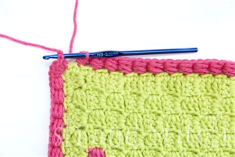 Puff Stitches With Crochet Edging