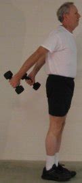 Shoulder Extension Increases Our Arm's Range Of Motion