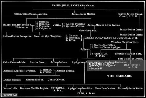 Nero Julius Caesar Photos and Premium High Res Pictures - Getty Images