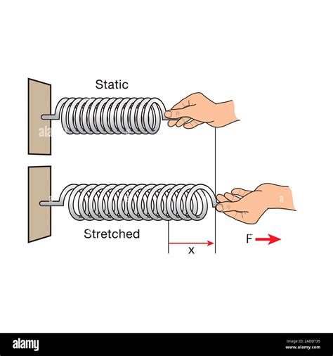 Elastic Potential Energy In A Spring Computer Illustration Elastic