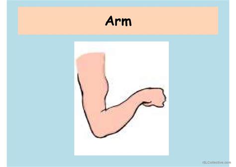 Parts Of The Body General Readin English Esl Powerpoints