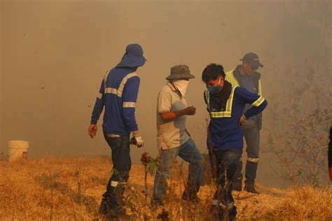 Multas Por Incendios Forestales En Quito Una Mujer Está Involucrada