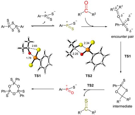 Computational Mechanistic Study Of Thionation Of Carbonyl Compounds