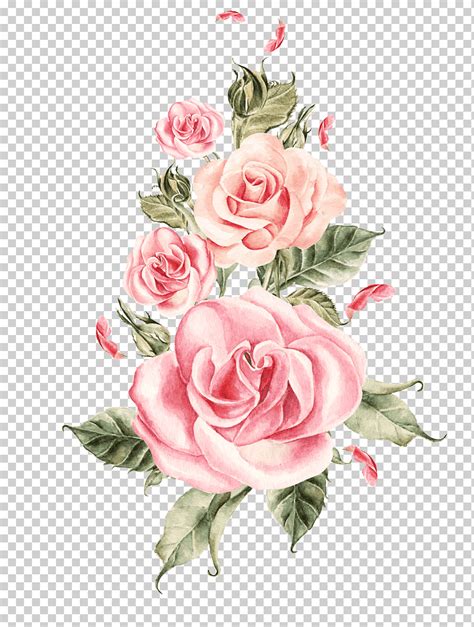 Flor rosa de boda ramo de rosas pintadas a mano ilustración de rosas