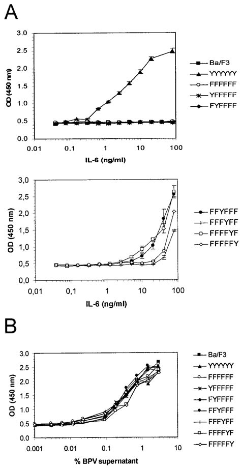 Cell Proliferation Induced Through Single Tyrosines In Gp130 Stably