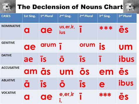 The Declension Of Nouns Chart Cases St Sing St Plural Nd Sing Nd