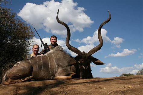 Trophy Hunting The Kudu In South Africa Ash Adventures