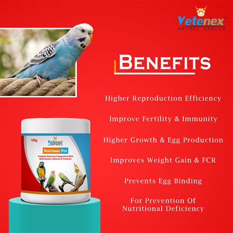 Vetenex Complete Nutritional Supplement With Minerals Vitamin B Complex Supplement