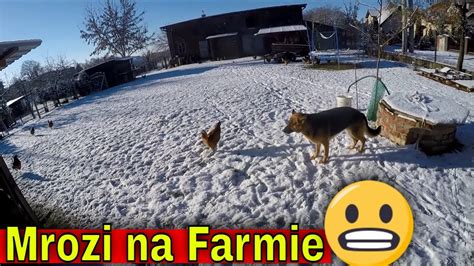 Silne Mrozy Vs Farmer Docieplenie Infrastruktury Krytycznej Youtube