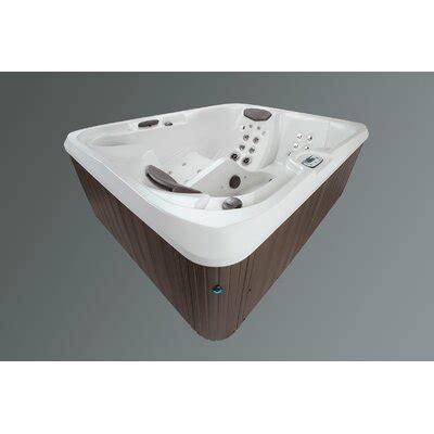 Lifesmart Spas Hot Tubs You Ll Love In 2020 Wayfair