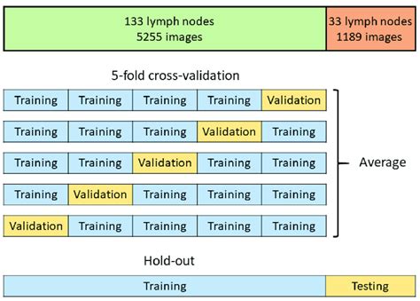 The Concept Of Deep Learning Algorithm Download Scientific Diagram