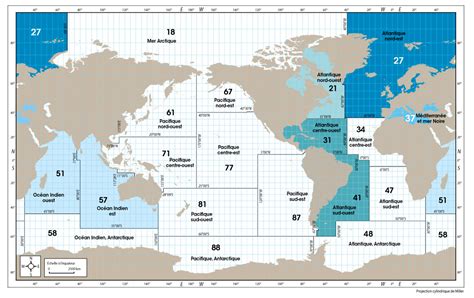 Zones Fao Guide Des Espèces