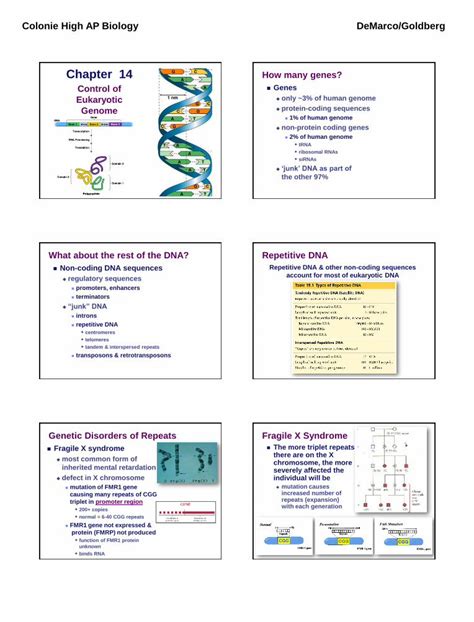 Pdf Lecture Eukaryotic Genetics Biology Ap Lecture Notes Pdf