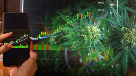 Investing In Marijuana Stocks Right Now? 4 Cannabis ETFs For Long Term