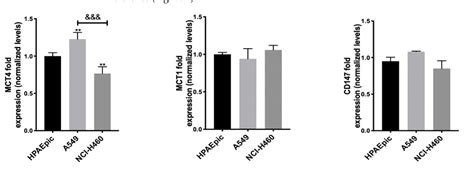 Figure 1 From Glycolytic Inhibitors Potentiated The Activity Of