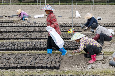 雨水将至农事忙图片新闻中国政府网