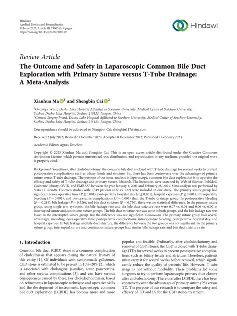 PDF The Outcome And Safety In Laparoscopic Common Bile Duct