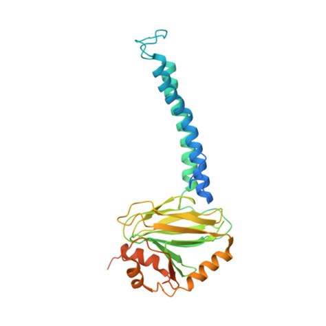 Rcsb Pdb 8qqk Cryo Em Structure Of E Coli Cytochrome Bo3 Quinol