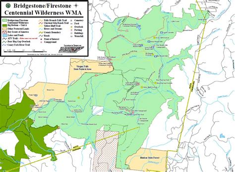 among nature: Bridgestone/Firestone Centennial Wilderness WMA & Virgin Falls SNA, TN