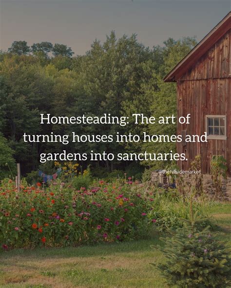 Carolynne DIY Projects Homesteading Content On Instagram The