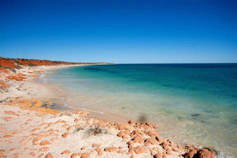 Coral Coast Western Australia Traumhafte Strände Korallen