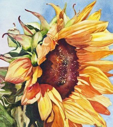 Van Gogh Sunflower Paintings Collection