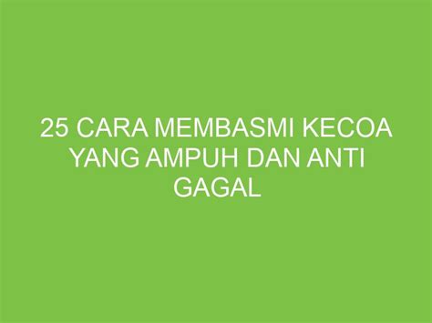 Cara Membasmi Kecoa Yang Ampuh Dan Anti Gagal Aikerja