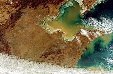 Желтое море (68 фото)